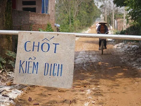 Hà Nội không để dịch cúm gia cầm ở Chương Mỹ lây lan diện rộng